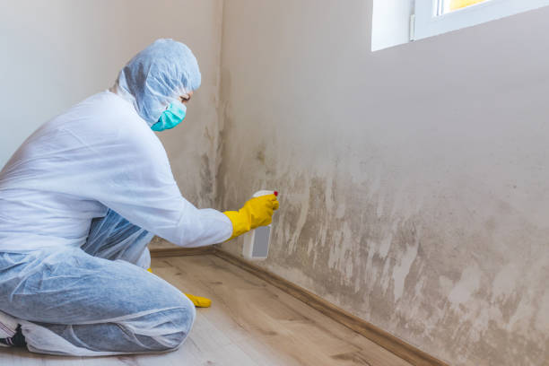 Licensed Bathroom Mold Removal service in Waynesboro, VA - WQB Mold Removal