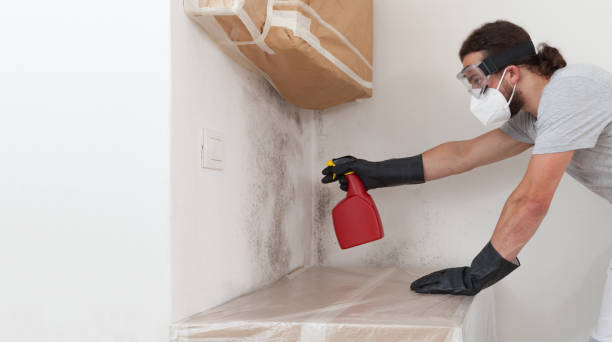 Professional Bathroom Mold Removal technician working in Waynesboro, VA